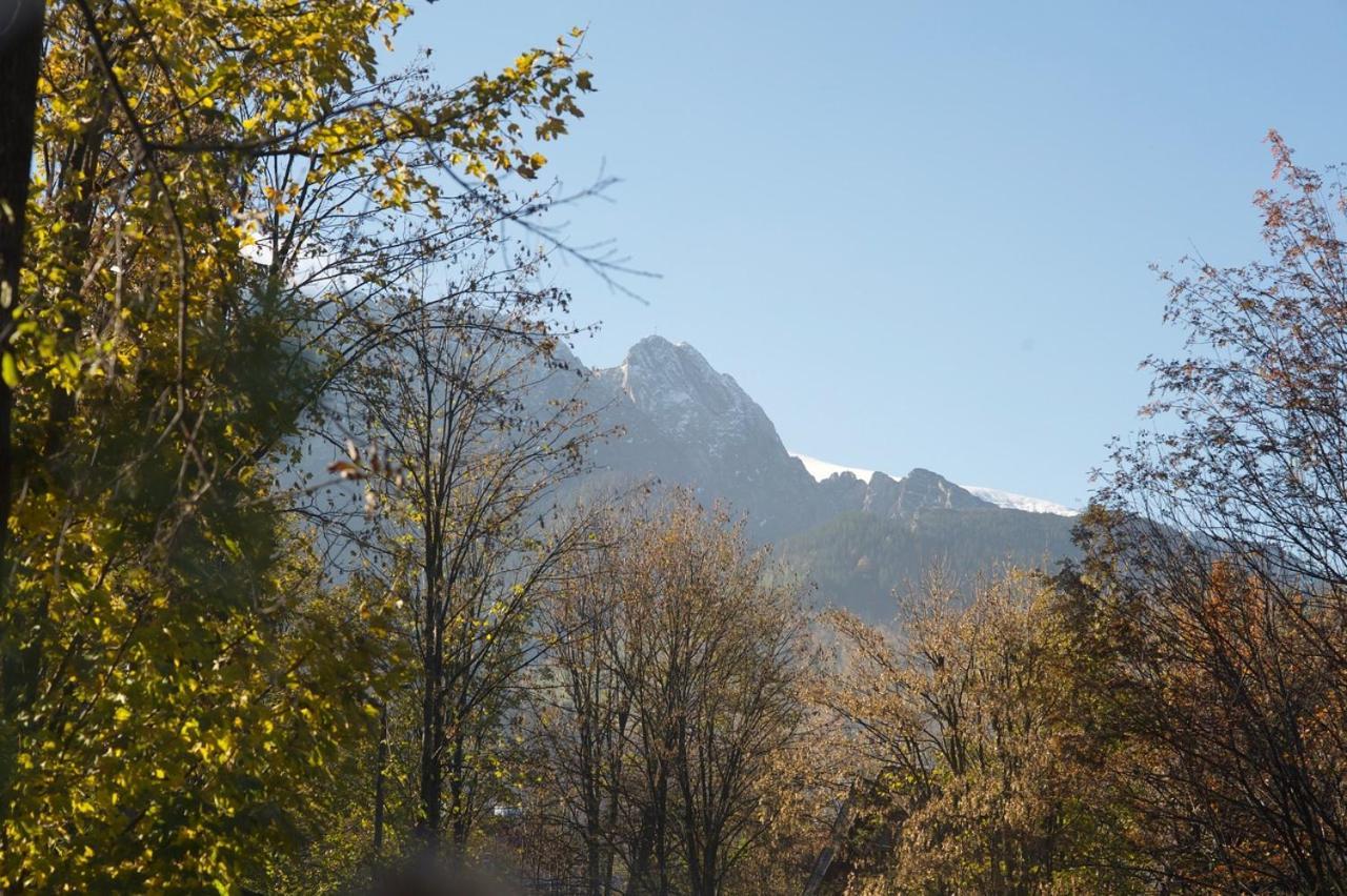 Apartament Pod Orłem Zakopane Exterior foto