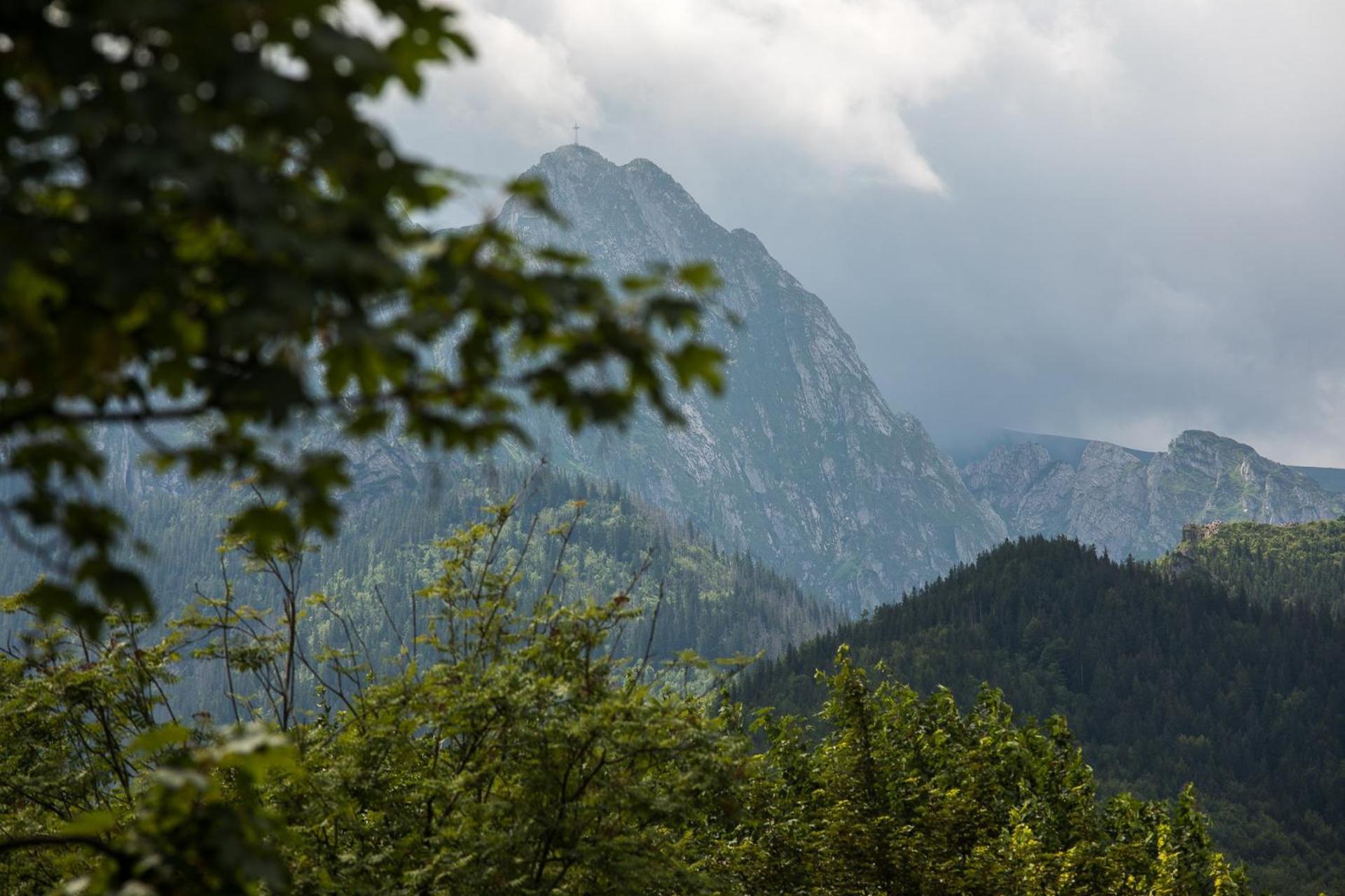 Apartament Pod Orłem Zakopane Exterior foto